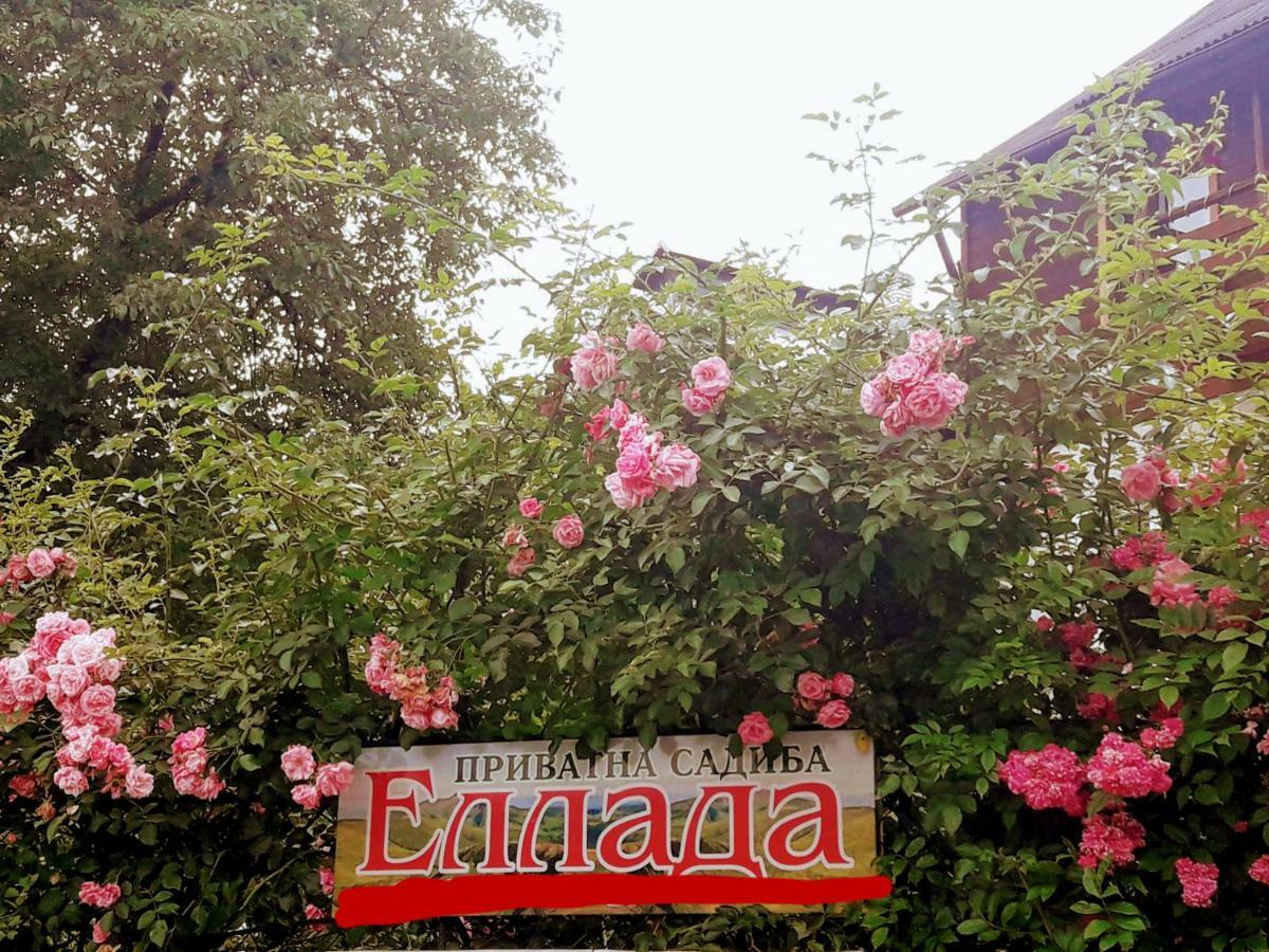 Sadyba Ellada Yaremche Ngoại thất bức ảnh